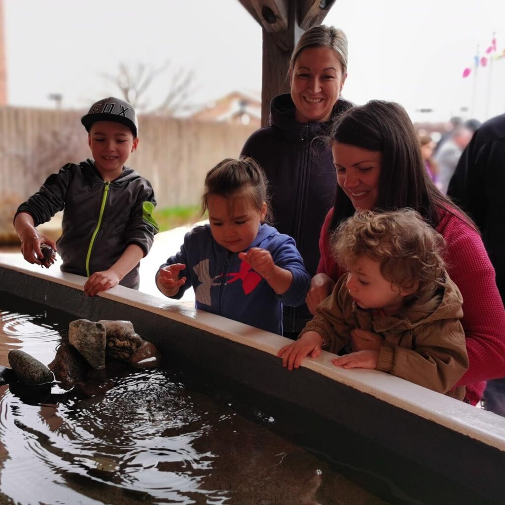 Shippagan Aquarium and Marine Center