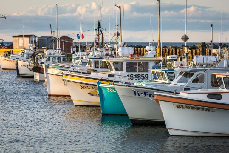 Bateaux de pêches au quai de Caraquet en début de soirée d'été