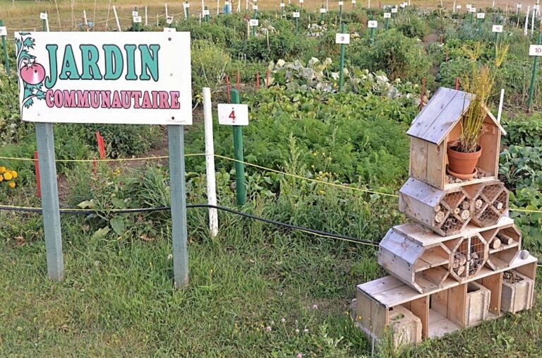 jardin communautaire-de-caraquet