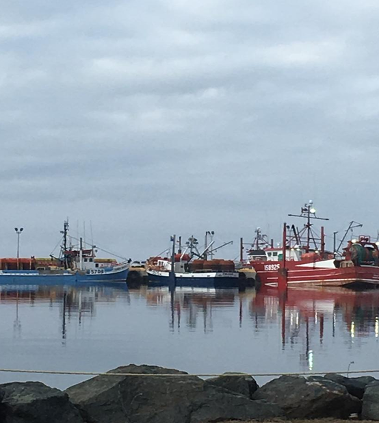 RENDEZ-VOUS D'HISTOIRE - Fenêtre sur l'histoire de la pêche industrielle à Caraquet